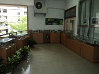/album/%e7%a8%ae%e5%ad%90%e9%85%b7%e5%9c%a8%e6%a0%a1%e5%9c%92/dsc02521-jpg/