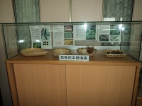 /album/%e7%a8%ae%e5%ad%90%e9%85%b7%e5%9c%a8%e6%a0%a1%e5%9c%92/dsc02530-jpg/