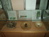 /album/%e7%a8%ae%e5%ad%90%e9%85%b7%e5%9c%a8%e6%a0%a1%e5%9c%92/dsc02531-jpg/