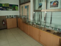 /album/%e7%a8%ae%e5%ad%90%e9%85%b7%e5%9c%a8%e6%a0%a1%e5%9c%92/dsc02534-jpg/